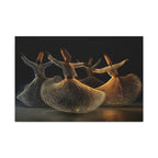 Whirling Dervish Dance Matte Canvas